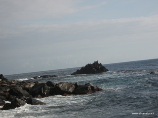 iazzette-13-11-2012 09-24-25